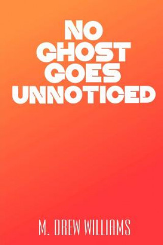 Könyv No Ghost Goes Unnoticed M Drew Williams