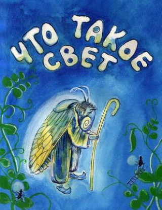 Buch Chto Takoe Svet Igor Velgach