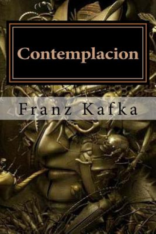 Knjiga Contemplacion Franz Kafka
