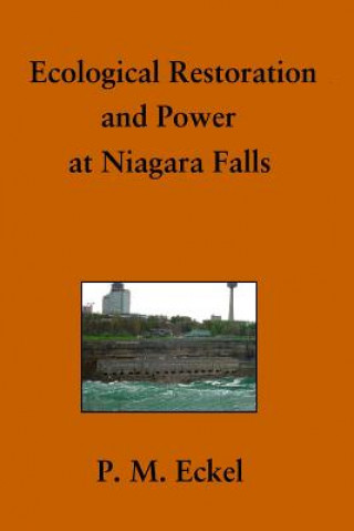 Kniha Ecological Restoration and Power at Niagara Falls Patricia M Eckel