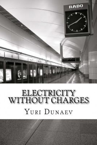 Libro electricity without charges Yuri Volodymyrovych Dunaev