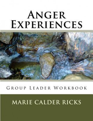 Buch Anger Experiences: Group Leader Workbook Marie Calder Ricks
