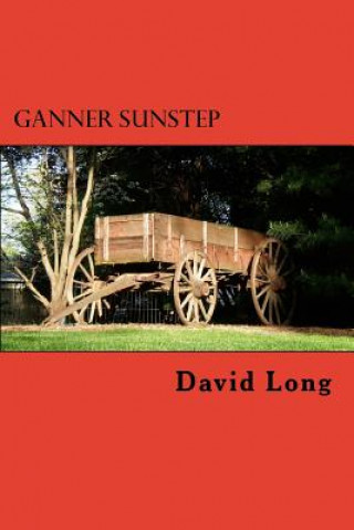 Kniha Ganner Sunstep David Long