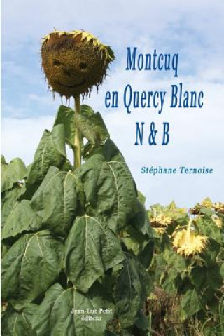 Carte Montcuq en Quercy Blanc N&B Stephane Ternoise