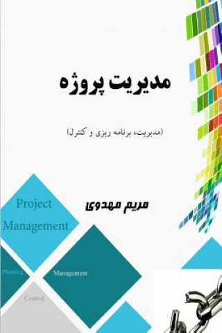 Kniha Project Management: Management, Control and Planning Maryam Mahdavi