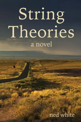 Knjiga String Theories Ned White