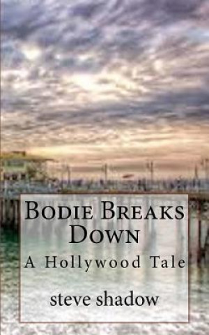 Książka Bodie Breaks Down Steve Shadow