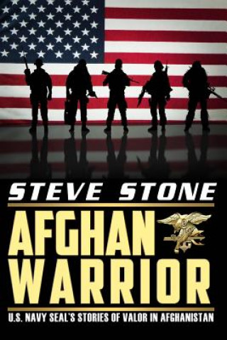 Kniha Afghan Warrior Steve Stone