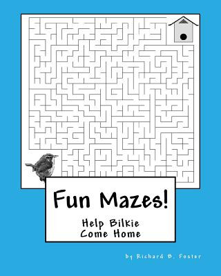 Buch Fun Mazes!: Help Bilkie Come Home Richard B Foster