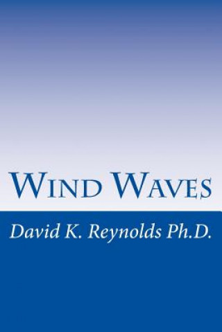 Knjiga Wind Waves David K Reynolds Ph D