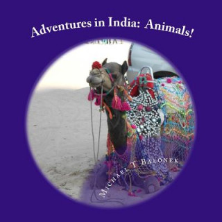 Kniha Adventures in India: Animals Michael T Balonek