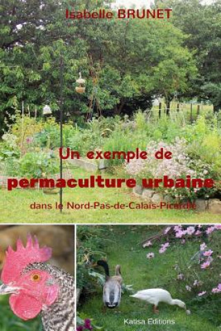 Kniha Un exemple de permaculture urbaine dans le Nord-Pas-de-Calais-Picardie Isabelle Brunet