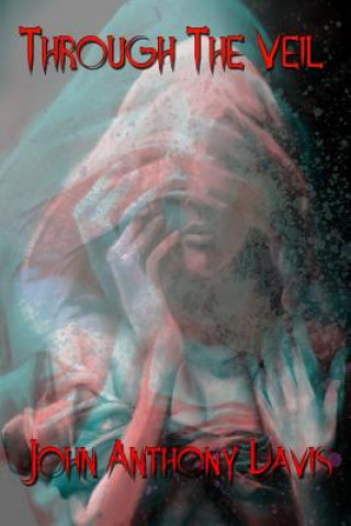 Kniha Through The Veil John Anthony Davis