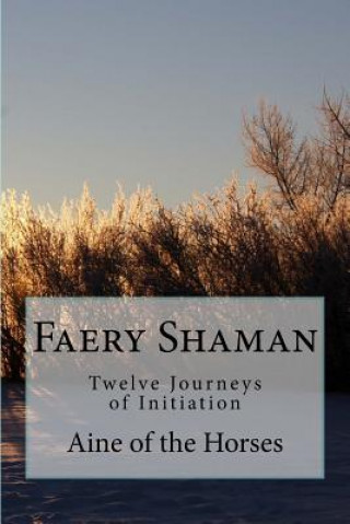 Kniha Faery Shaman: Twelve Journeys of Initiation Aine of the Horses