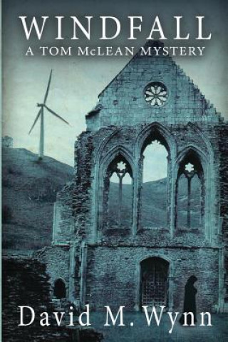 Book Windfall David M Wynn