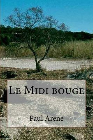 Buch Le Midi bouge M Paul Arene