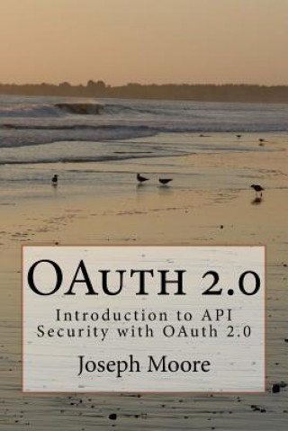 Könyv OAuth 2.0: Introduction to API Security with OAuth 2.0 Joseph Moore