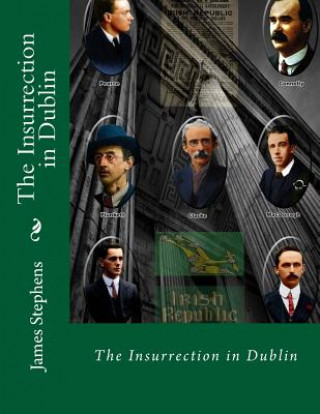 Kniha The Insurrection in Dublin James Stephens