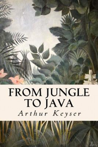 Kniha From Jungle to Java: The Trivial Impressions of a Short Excursion to Netherlands India Arthur Keyser