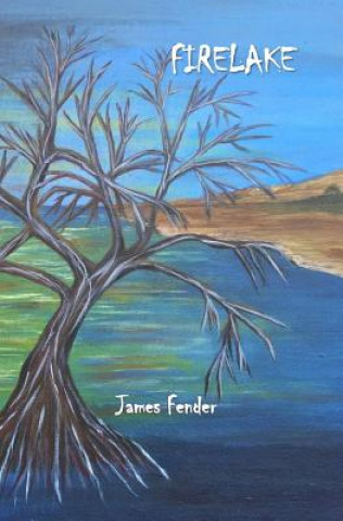 Книга Firelake James Fender