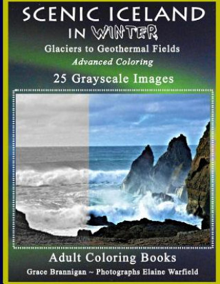 Kniha Scenic Iceland in Winter: Glaciers to Geothermal Fields: Advanced Coloring 25 Grayscale Images Grace Brannigan