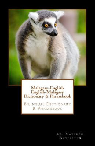 Carte Malagasy-English English-Malagasy Dictionary & Phrasebook Matthew Winterton