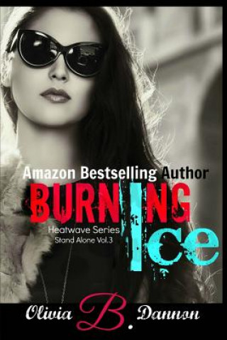 Book Burning Ice Olivia B Dannon