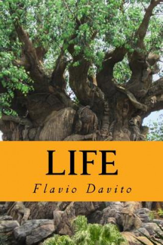 Buch Life Flavio Davito