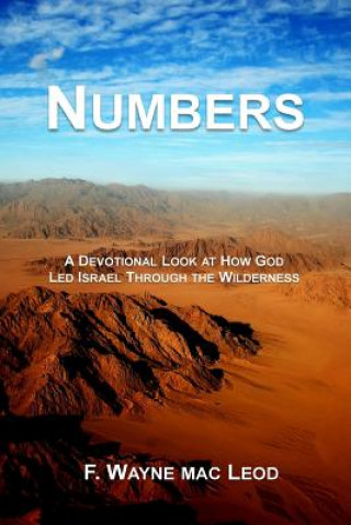 Libro Numbers: A Devotional Look at How God Led Isreal Through the Wilderness F Wayne Mac Leod