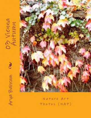 Livre Vienna Autumn: Nature Art Photos (NAP) Arya Bahram