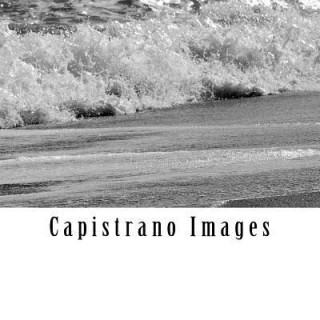 Книга Capistrano Images Joseph Fleming