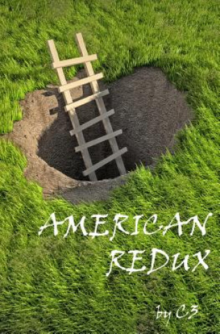 Buch American Redux C3
