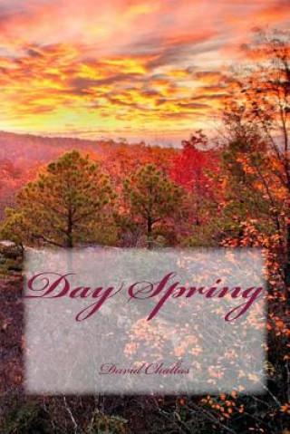 Buch Day Spring David Chaltas