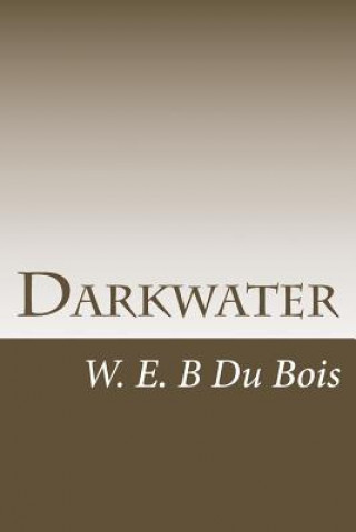 Könyv Darkwater: Voices From Within The Veil W E B Du Bois