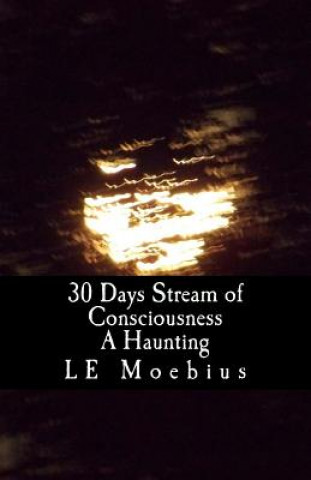 Książka 30 Days Streams of Consciousness: A Haunting L E Moebius