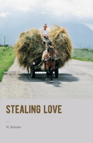 Libro Stealing love H Schreter