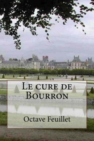 Kniha Le cure de Bourron M Octave Feuillet