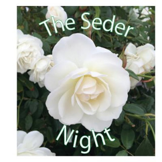 Buch The Seder Night Orna