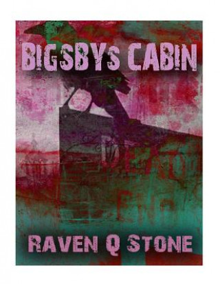 Buch Bigbys Cabin Raven Q Stone