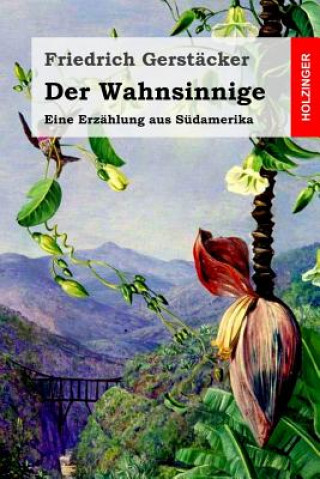 Könyv Der Wahnsinnige: Eine Erzählung aus Südamerika Friedrich Gerstacker