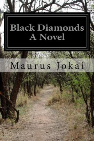 Kniha Black Diamonds A Novel Maurus Jokai