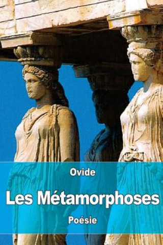 Kniha Les Métamorphoses Ovide