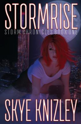 Kniha Stormrise: Special Edition Skye Knizley