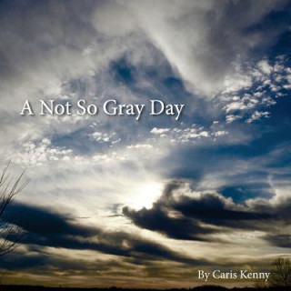 Książka A Not So Gray Day Caris Kenny