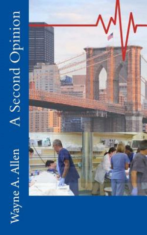 Buch A Second Opinion Wayne a Allen