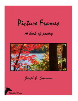 Knjiga Picture Frames Joseph J Simmons