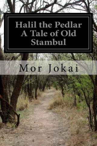 Kniha Halil the Pedlar A Tale of Old Stambul Mor Jokai