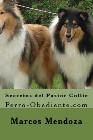Carte Secretos del Pastor Collie: Perro-Obediente.com Marcos Mendoza