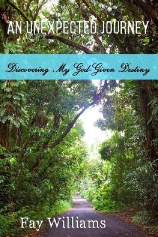 Könyv An Unexpected Journey: Discovering My God-Given Destiny Fay Williams