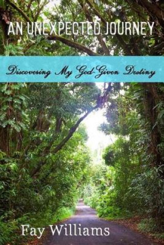 Book An Unexpected Journey: Discovering My God-Given Destiny Fay Williams